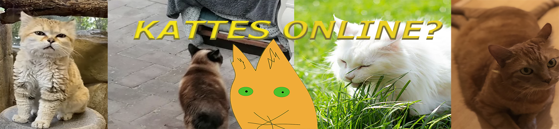 KATTES-BANNER 1900X440PX+ONLINE